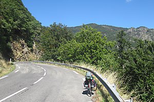 Anstieg zum Mont Aigoual