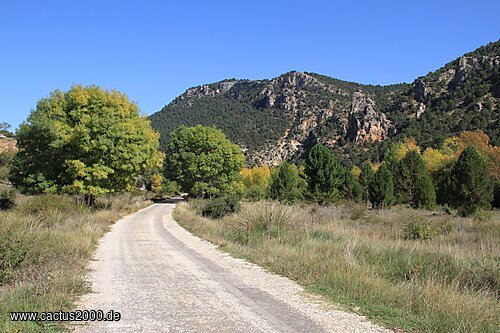 Parque Natural de las Sierras de Cazorla, Segura y Las Villas, Spanien