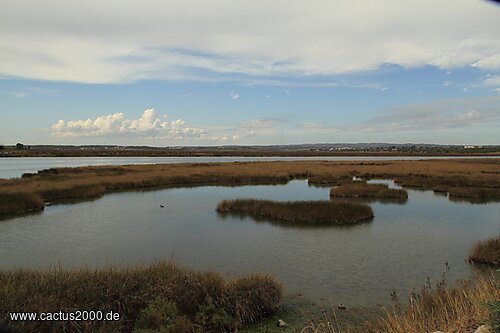 Sumpf- und Salinenlandschaft bei Vila Real de Santo António, Portugal